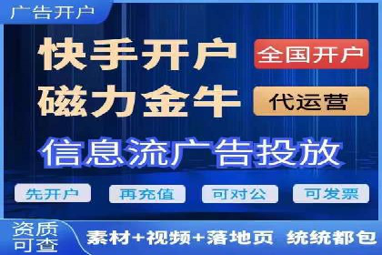 专业sem托管服务案例，揭秘广告投放优化策略